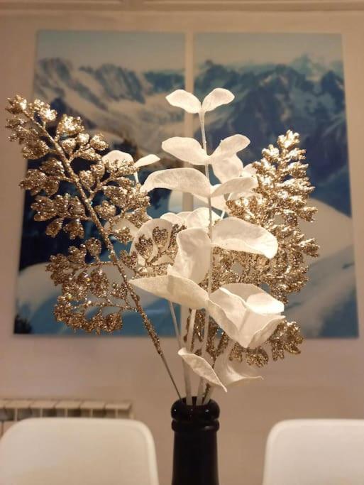Bel Appartement Familial Et Cosy Saint-Gervais-les-Bains Εξωτερικό φωτογραφία